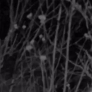 Meet your Posher, Jalisa